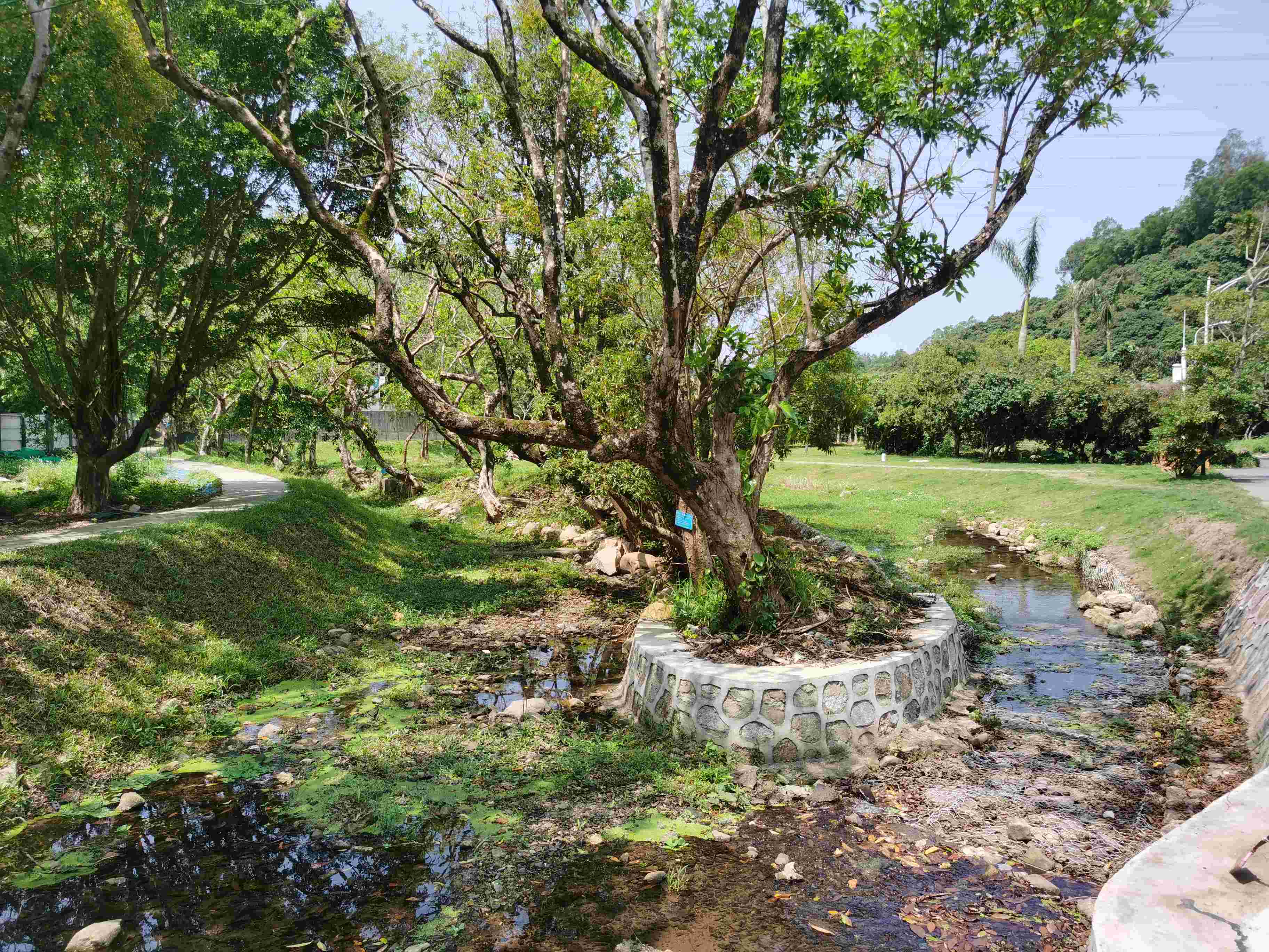 1685067423138854.jpg 1685067423138854.jpg