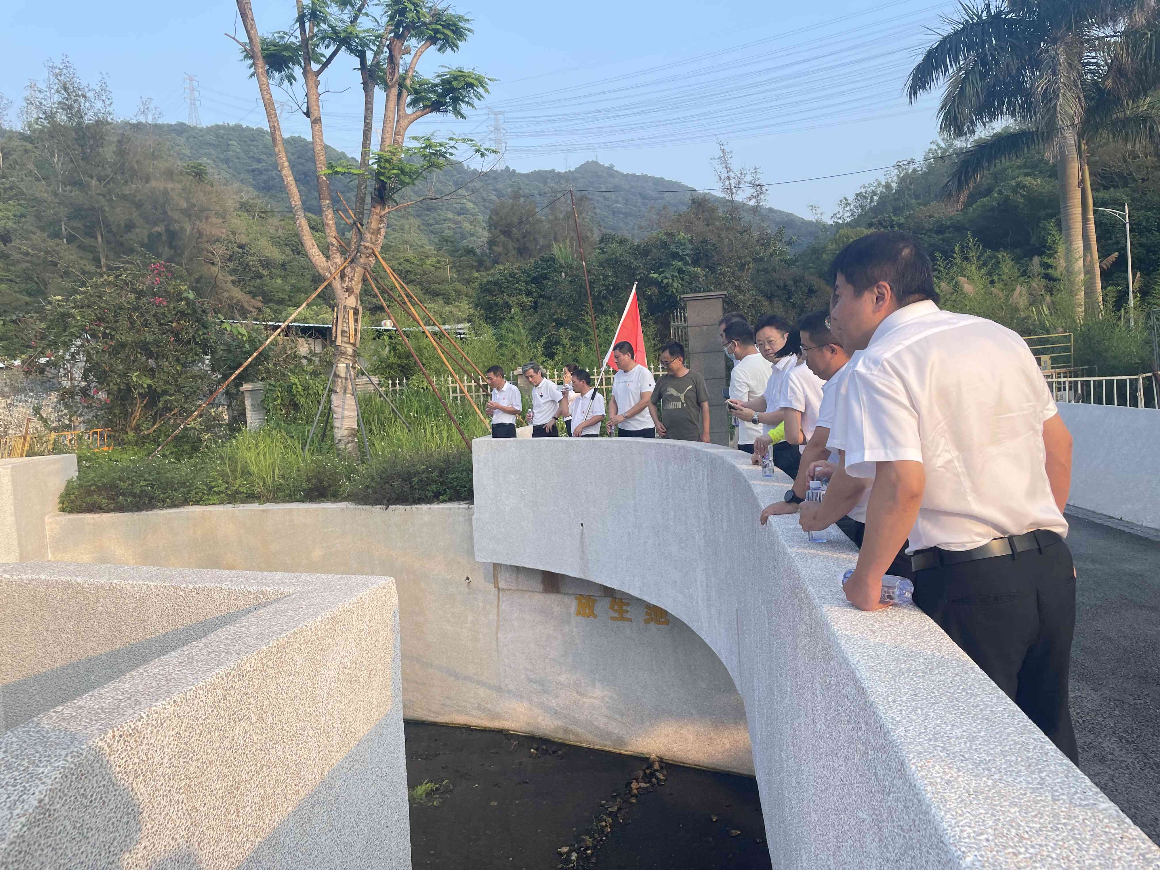 1685067423876256.jpg 1685067423876256.jpg