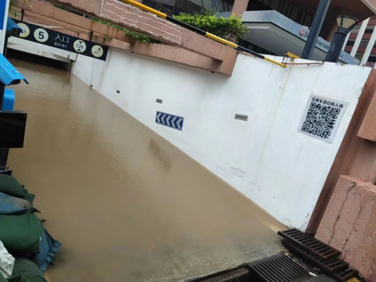 1695608897131156.jpg 1695608897131156.jpg