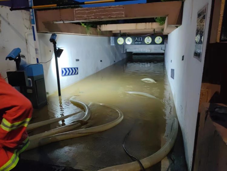 1695608952313701.jpg 1695608952313701.jpg