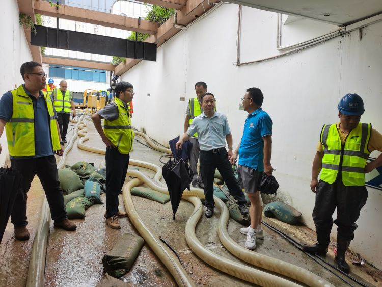 1695608992627833.jpg 1695608992627833.jpg